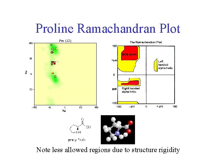 Proline Ramachandran Plot Note less allowed regions due to structure rigidity 