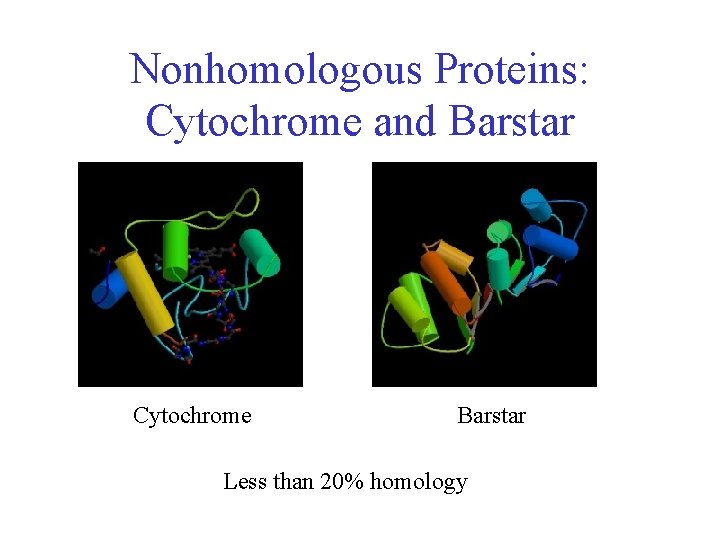 Nonhomologous Proteins: Cytochrome and Barstar Cytochrome Barstar Less than 20% homology 