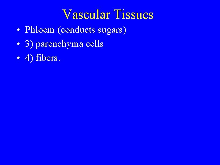 Vascular Tissues • Phloem (conducts sugars) • 3) parenchyma cells • 4) fibers. 