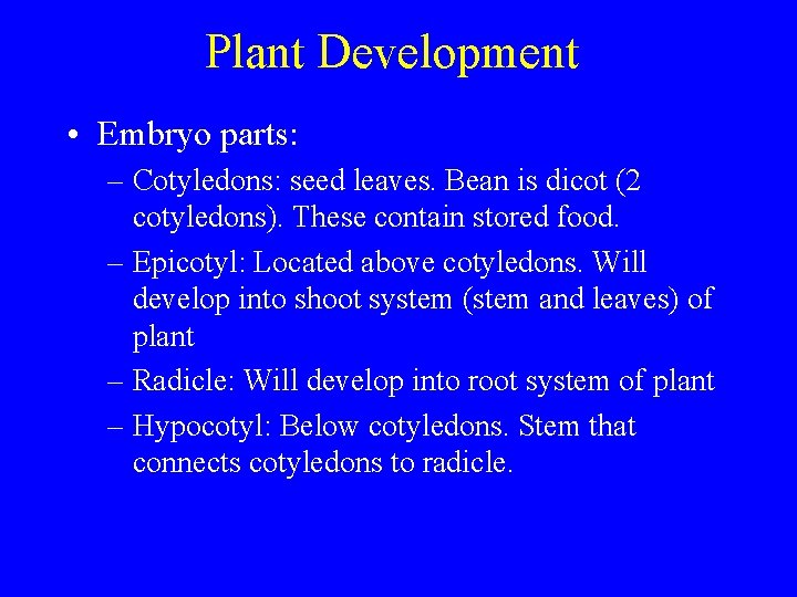 Plant Development • Embryo parts: – Cotyledons: seed leaves. Bean is dicot (2 cotyledons).