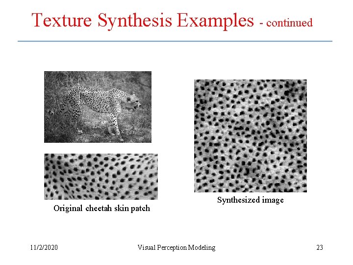Texture Synthesis Examples - continued Original cheetah skin patch 11/2/2020 Visual Perception Modeling Synthesized Texture Synthesis Examples - continued Original cheetah skin patch 11/2/2020 Visual Perception Modeling Synthesized