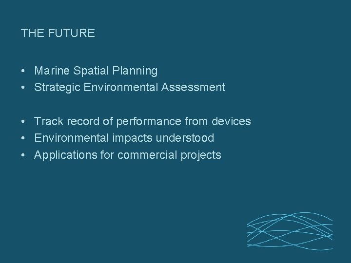 THE FUTURE • Marine Spatial Planning • Strategic Environmental Assessment • Track record of