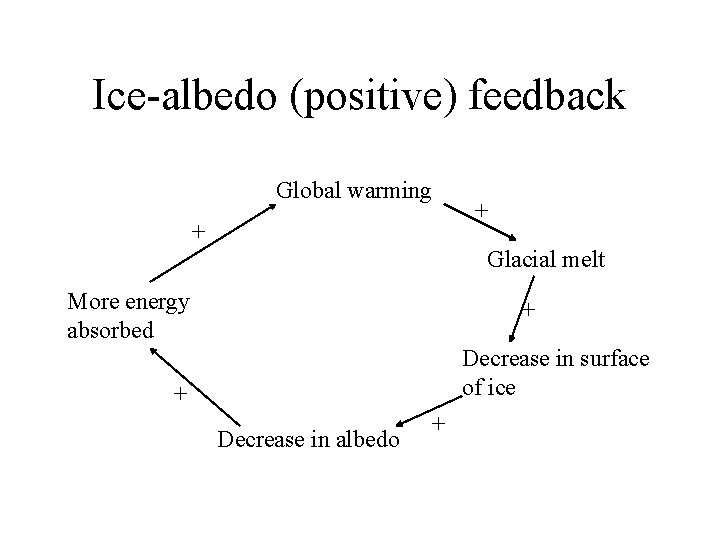 Ice-albedo (positive) feedback Global warming + + Glacial melt More energy absorbed + Decrease