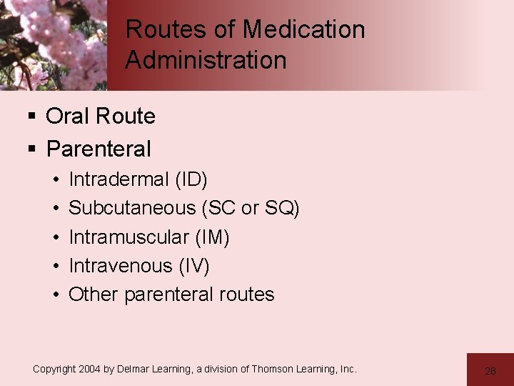 Routes of Medication Administration § Oral Route § Parenteral • • • Intradermal (ID)