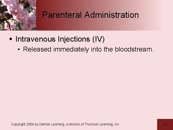 Parenteral Administration § Intravenous Injections (IV) • Released immediately into the bloodstream. Copyright 2004 Parenteral Administration § Intravenous Injections (IV) • Released immediately into the bloodstream. Copyright 2004