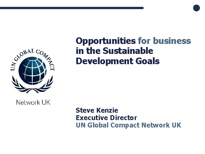  • Opportunities for business in the Sustainable Development Goals Steve Kenzie Executive Director