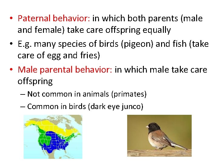  • Paternal behavior: in which both parents (male and female) take care offspring