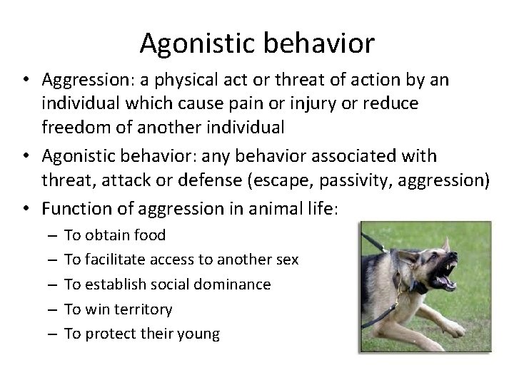 Agonistic behavior • Aggression: a physical act or threat of action by an individual