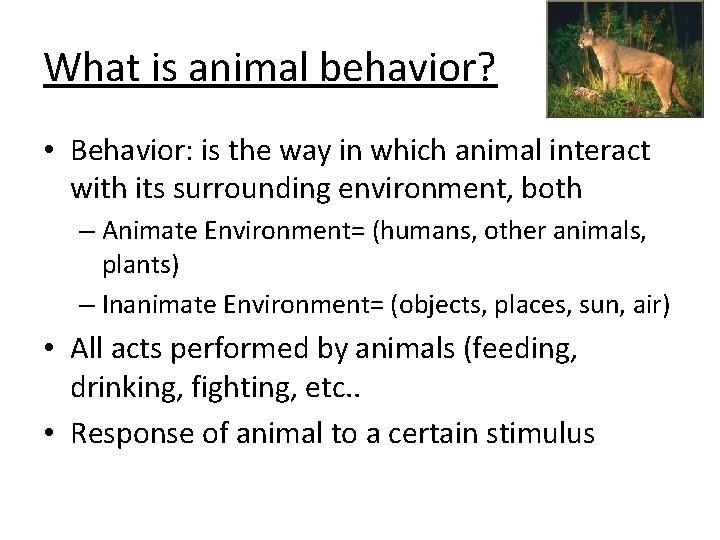 What is animal behavior? • Behavior: is the way in which animal interact with