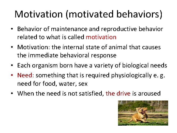 Motivation (motivated behaviors) • Behavior of maintenance and reproductive behavior related to what is
