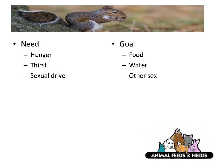  • Need – Hunger – Thirst – Sexual drive • Goal – Food