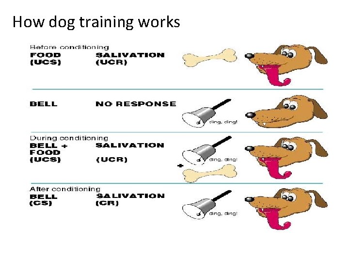 How dog training works 