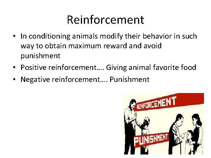 Reinforcement • In conditioning animals modify their behavior in such way to obtain maximum
