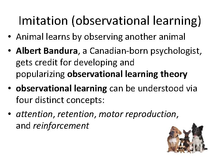 Imitation (observational learning) • Animal learns by observing another animal • Albert Bandura, a