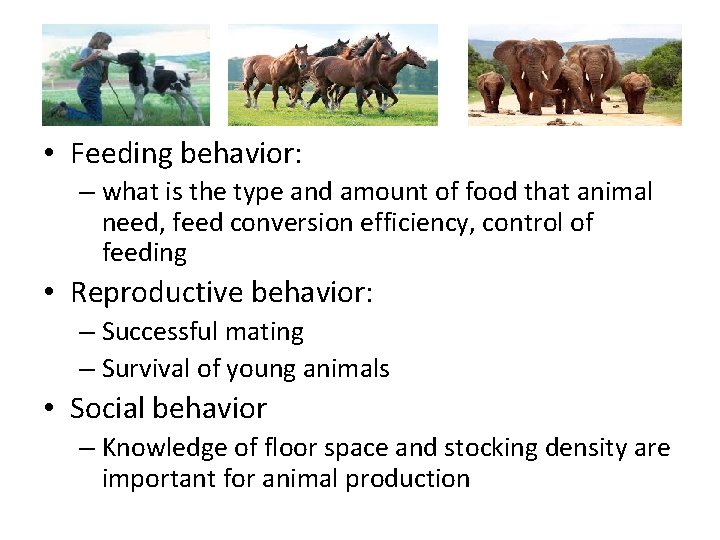  • Feeding behavior: – what is the type and amount of food that