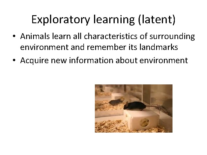 Exploratory learning (latent) • Animals learn all characteristics of surrounding environment and remember its