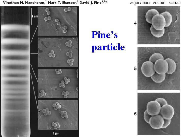 Pine’s particle 