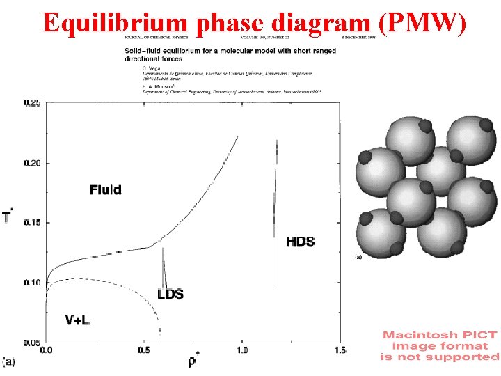 Equilibrium phase diagram (PMW) 
