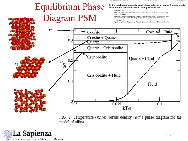 Equilibrium Phase Diagram PSM 