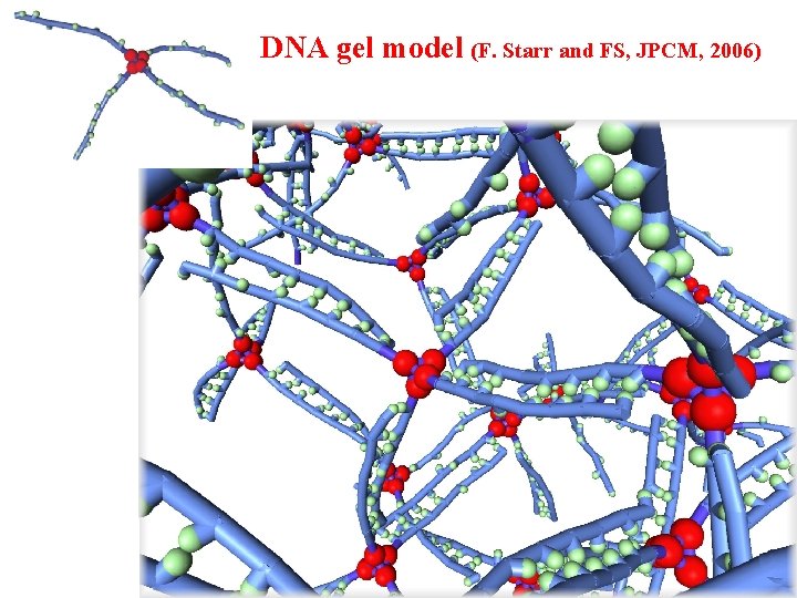 DNA gel model (F. Starr and FS, JPCM, 2006) 