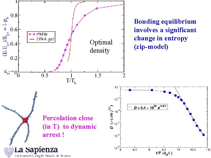 Optimal density Percolation close (in T) to dynamic arrest ! Bonding equilibrium involves a