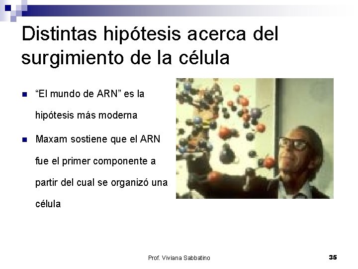 Distintas hipótesis acerca del surgimiento de la célula n “El mundo de ARN” es