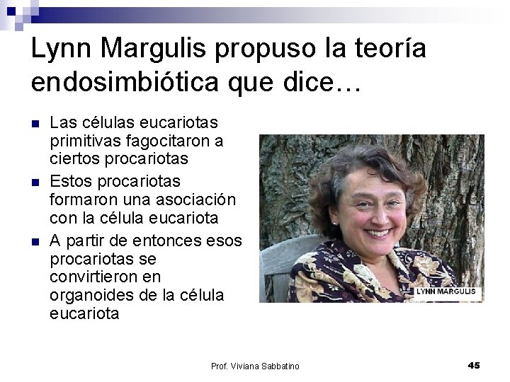Lynn Margulis propuso la teoría endosimbiótica que dice… n n n Las células eucariotas
