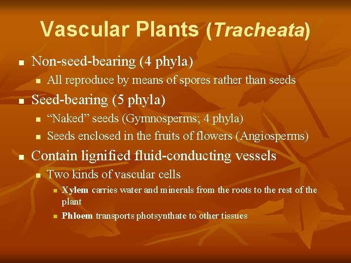 Vascular Plants (Tracheata) n Non-seed-bearing (4 phyla) n n Seed-bearing (5 phyla) n n