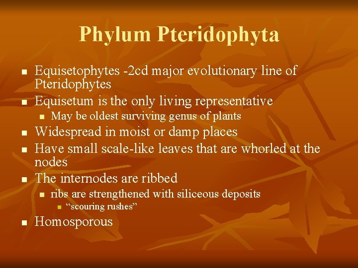 Phylum Pteridophyta n n Equisetophytes -2 cd major evolutionary line of Pteridophytes Equisetum is