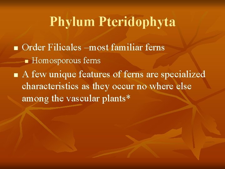 Phylum Pteridophyta n Order Filicales –most familiar ferns n n Homosporous ferns A few