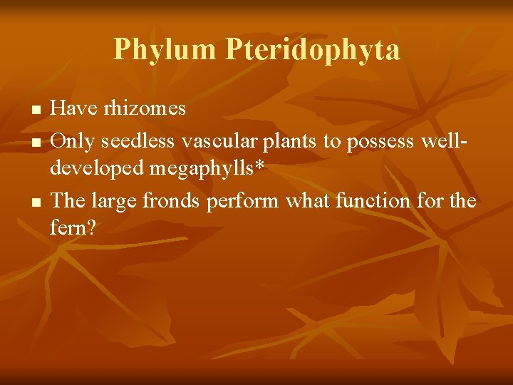 Phylum Pteridophyta n n n Have rhizomes Only seedless vascular plants to possess welldeveloped