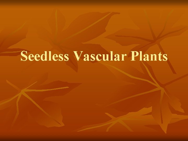 Seedless Vascular Plants 