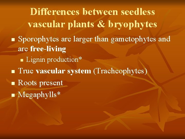 Differences between seedless vascular plants & bryophytes n Sporophytes are larger than gametophytes and