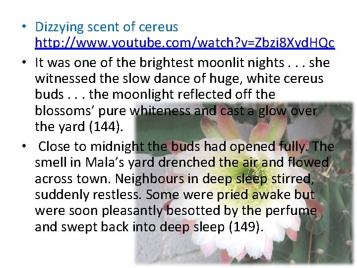  • Dizzying scent of cereus http: //www. youtube. com/watch? v=Zbzi 8 Xyd. HQc