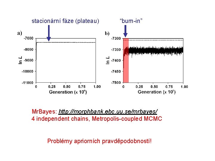 stacionární fáze (plateau) “burn-in” Mr. Bayes: http: //morphbank. ebc. uu. se/mrbayes/ 4 independent chains,