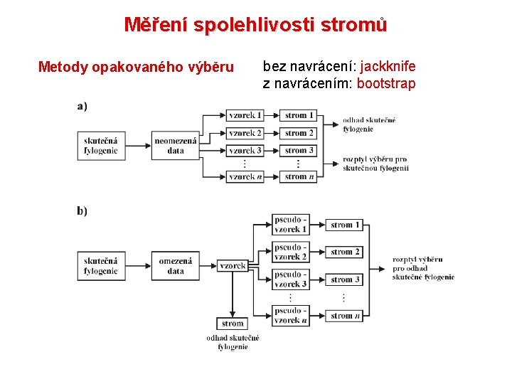 Měření spolehlivosti stromů Metody opakovaného výběru bez navrácení: jackknife z navrácením: bootstrap 