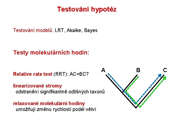 Testování hypotéz Testování modelů: LRT, Akaike, Bayes Testy molekulárních hodin: Relative rate test (RRT):