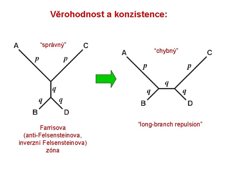 Věrohodnost a konzistence: “správný” Farrisova (anti-Felsensteinova, inverzní Felsensteinova) zóna “chybný” “long-branch repulsion” 