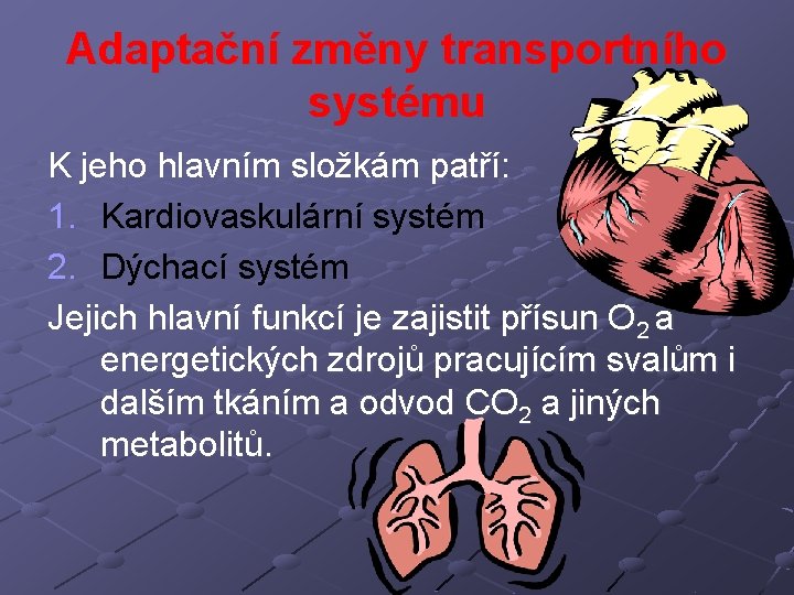 Adaptační změny transportního systému K jeho hlavním složkám patří: 1. Kardiovaskulární systém 2. Dýchací
