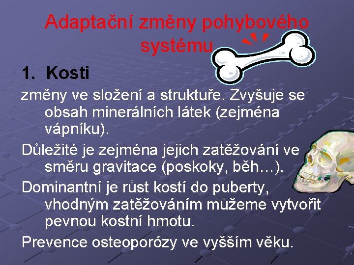 Adaptační změny pohybového systému 1. Kosti změny ve složení a struktuře. Zvyšuje se obsah