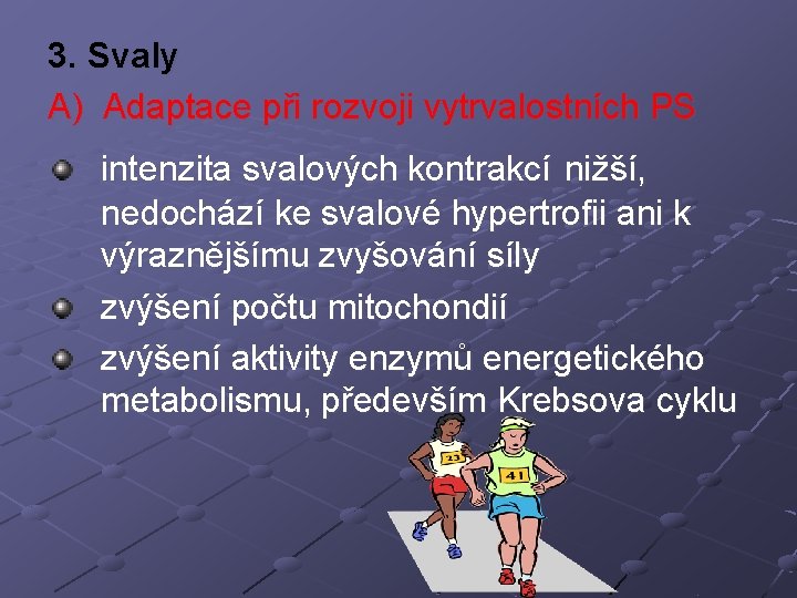 3. Svaly A) Adaptace při rozvoji vytrvalostních PS intenzita svalových kontrakcí nižší, nedochází ke