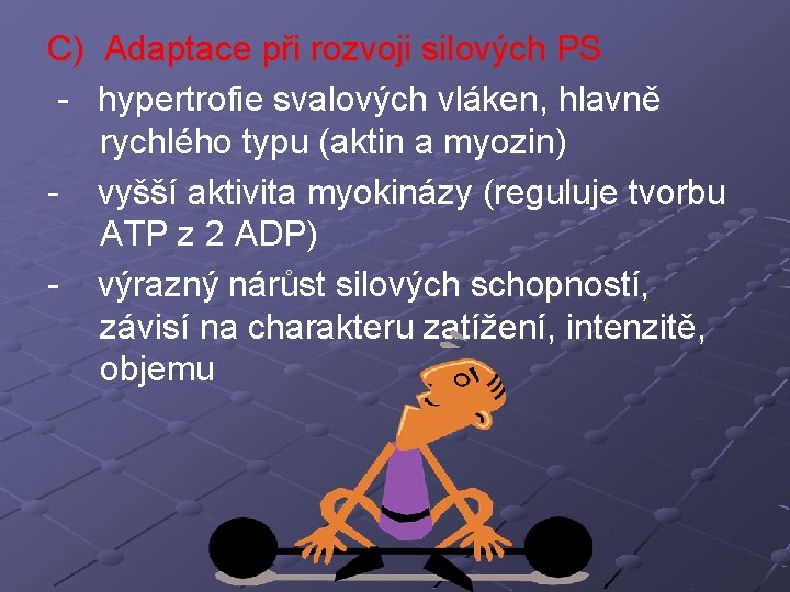 C) Adaptace při rozvoji silových PS - hypertrofie svalových vláken, hlavně rychlého typu (aktin