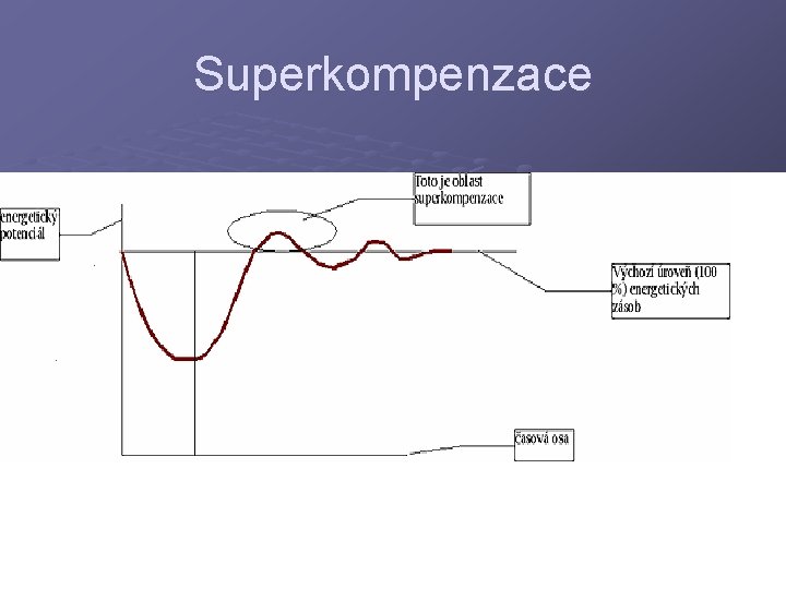 Superkompenzace 