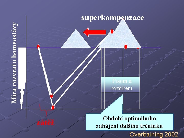 Míra rozvratu homeostázy superkompenzace Posun a rozšíření zátěž Období optimálního zahájení dalšího tréninku Overtraining