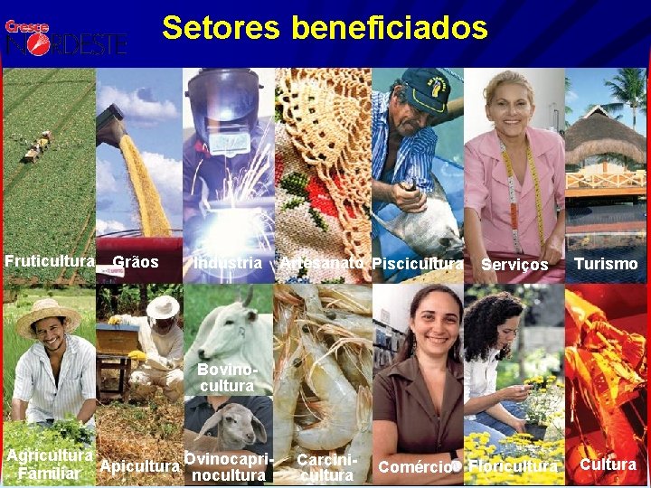 Setores beneficiados Fruticultura Grãos Indústria Artesanato Piscicultura Serviços Turismo Bovinocultura Agricultura Ovinocapri. Apicultura Familiar