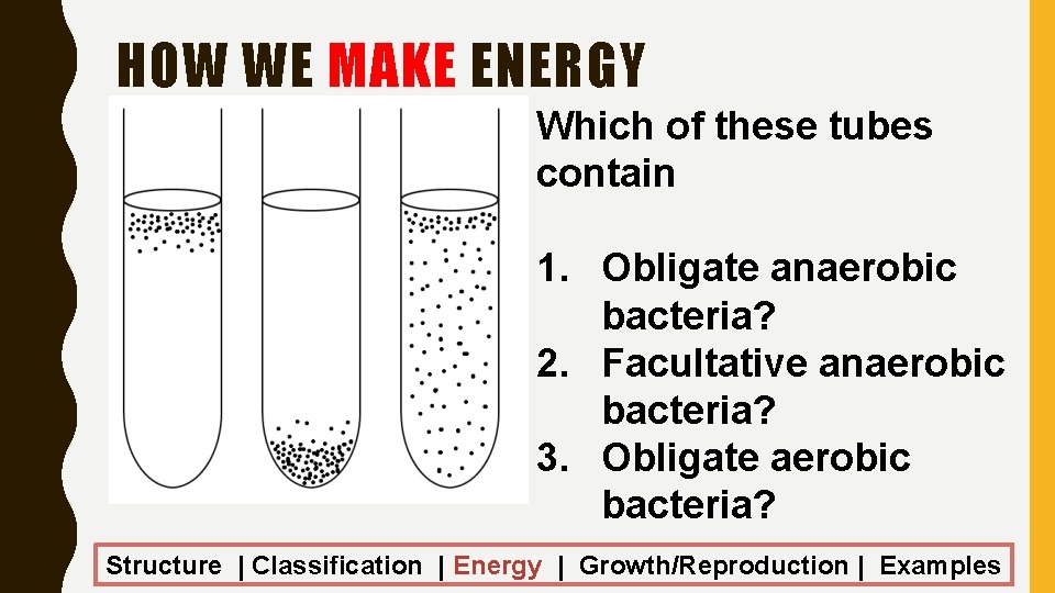 HOW WE MAKE ENERGY Which of these tubes contain 1. Obligate anaerobic bacteria? 2.