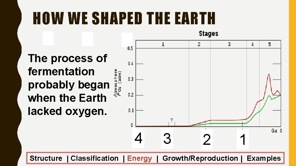 HOW WE SHAPED THE EARTH The process of fermentation probably began when the Earth