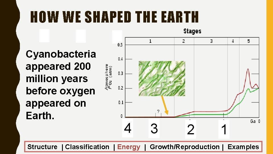 HOW WE SHAPED THE EARTH Cyanobacteria appeared 200 million years before oxygen appeared on