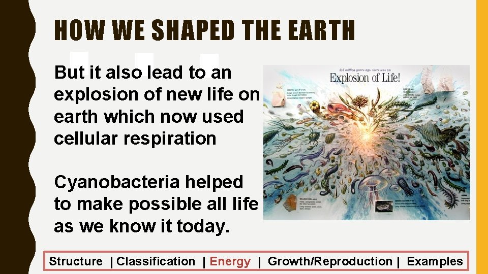 HOW WE SHAPED THE EARTH But it also lead to an explosion of new