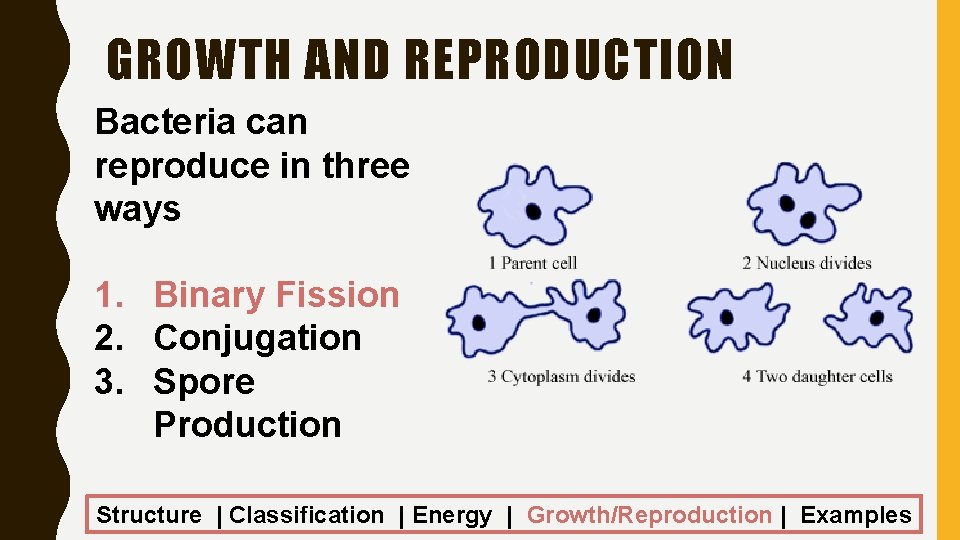 GROWTH AND REPRODUCTION Bacteria can reproduce in three ways 1. Binary Fission 2. Conjugation